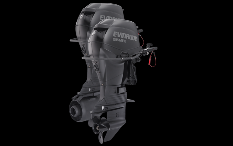 E-TEC 55 HP